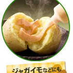 img_use_potato[1]